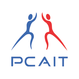progressive-channels-association-of-information-technology-pcait