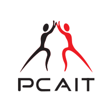 progressive-channels-association-of-information-technology-pcait